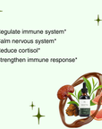 Immune Pump - Chaga, Reishi & Green Tea