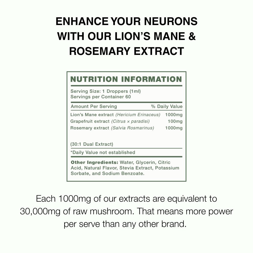 Brain & Body Bundle - Brain Boost + Stamina Surge - Mushify