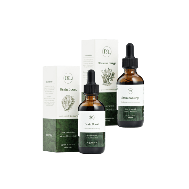 Brain & Body Bundle - Mushify