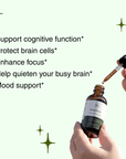 Brain Boost - Lion's mane & Rosemary - Mushify Lion's mane extract