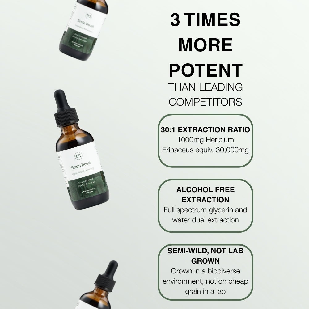 Brain Boost - Lion's mane & Rosemary - Mushify Lion's mane extract