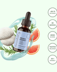 Brain Boost - Lion's mane & Rosemary - Mushify Lion's mane extract