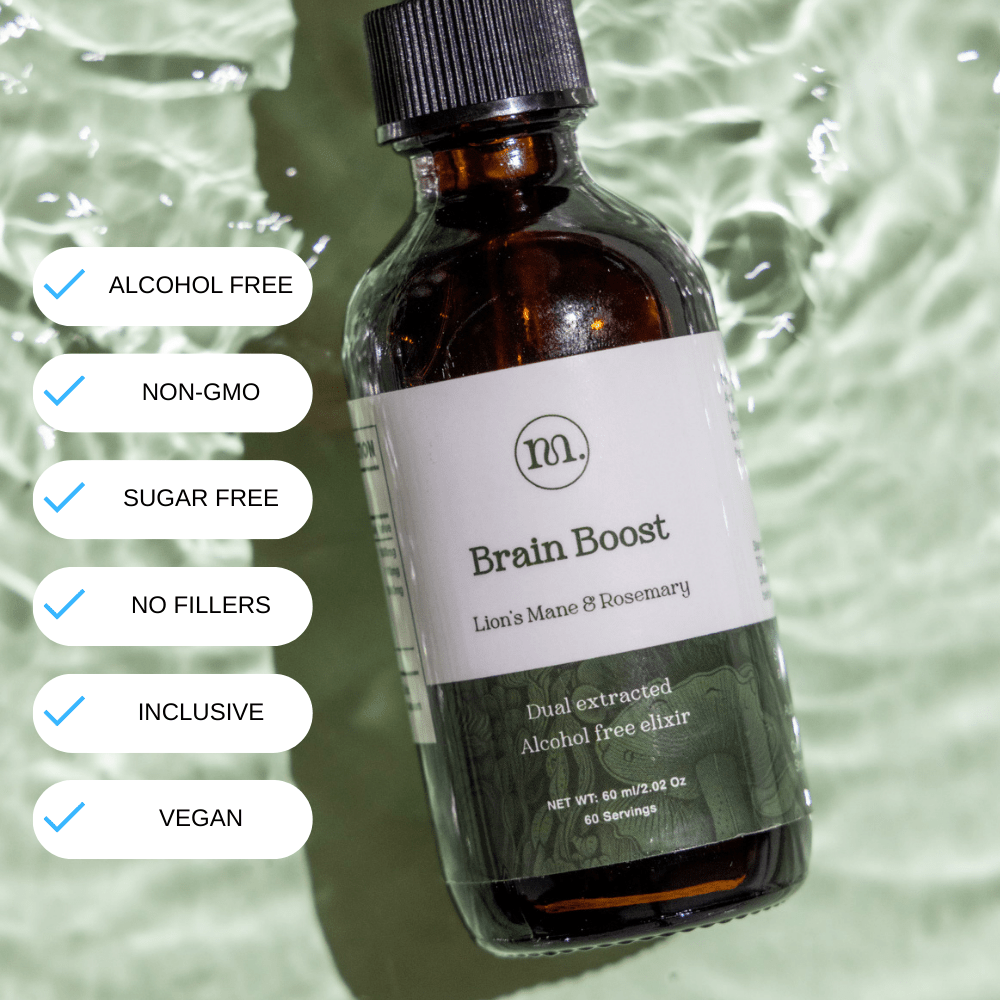 Brain Boost - Mushify Lion's mane extract