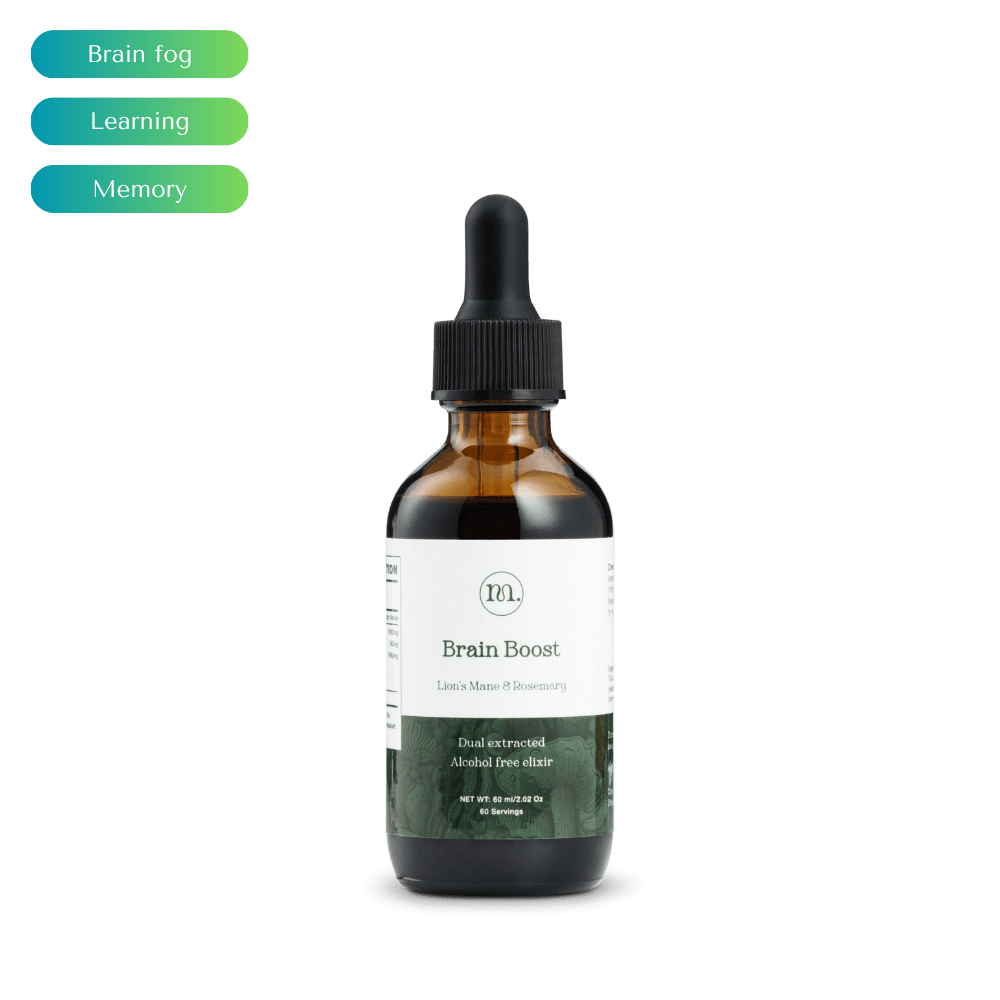 Brain Boost - Mushify Lion's mane extract