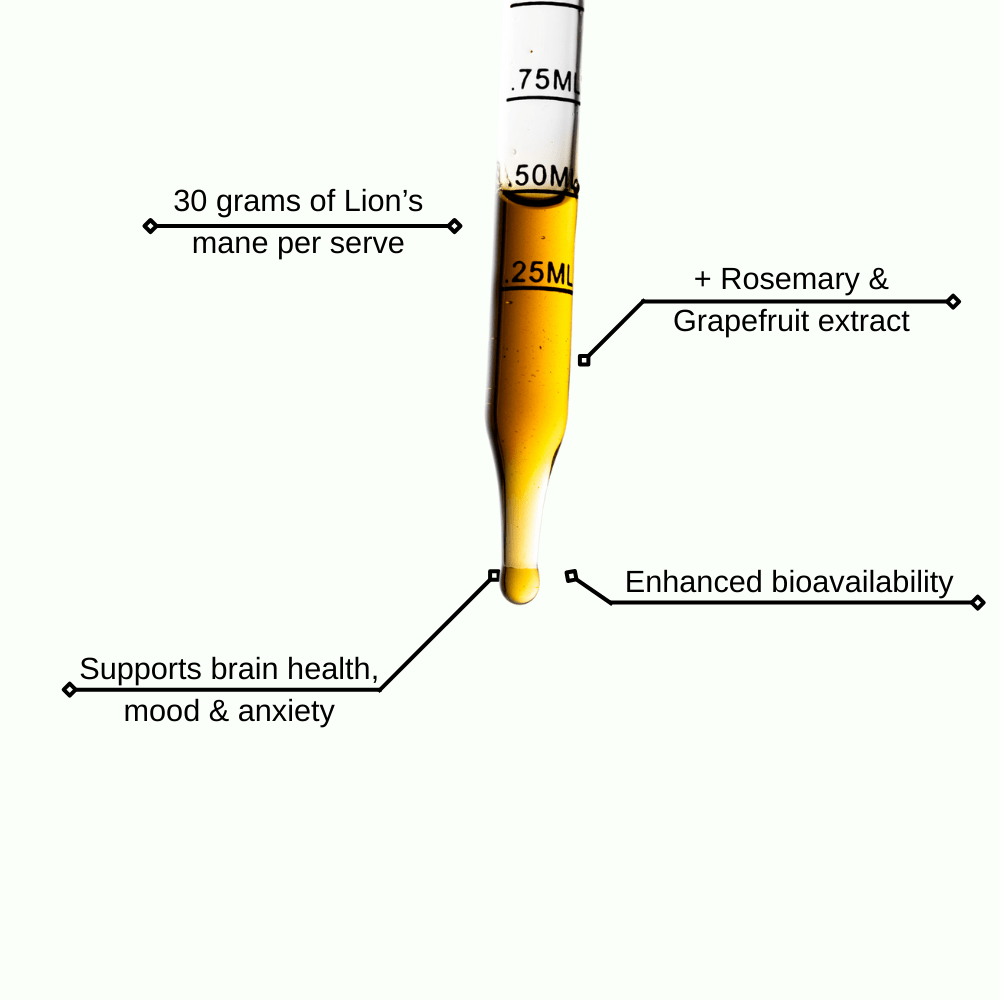 Brain Boost - Mushify Lion's mane extract