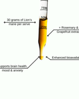 Brain Boost - Mushify Lion's mane extract
