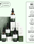 Daily Vitality Stack | The Tasty Mushroom + Herb Extracts - Mushify