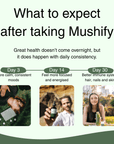Daily Vitality Stack | The Tasty Mushroom + Herb Extracts - Mushify