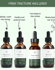 Daily Vitality Stack | The Tasty Mushroom + Herb Extracts - Mushify