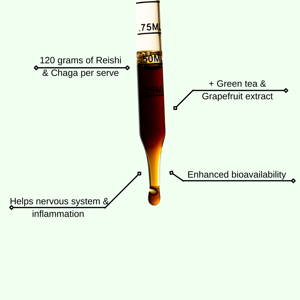 Immune Pump - Mushify Reishi and Chaga extract