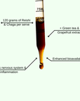 Immune Pump - Mushify Reishi and Chaga extract