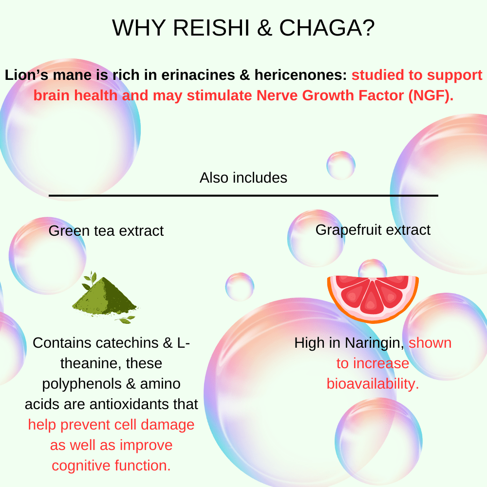 Immune Pump - Mushify Reishi and Chaga extract
