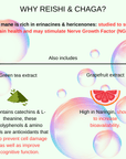 Immune Pump - Mushify Reishi and Chaga extract