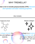 Skin Assist - Mushify Tremella extract