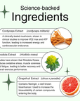 Stamina Surge - Cordyceps & Rhodiola - Mushify Cordyceps extract