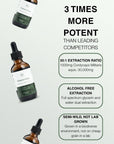 Stamina Surge - Cordyceps & Rhodiola - Mushify Cordyceps extract