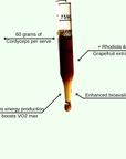 Stamina Surge - Mushify Cordyceps extract