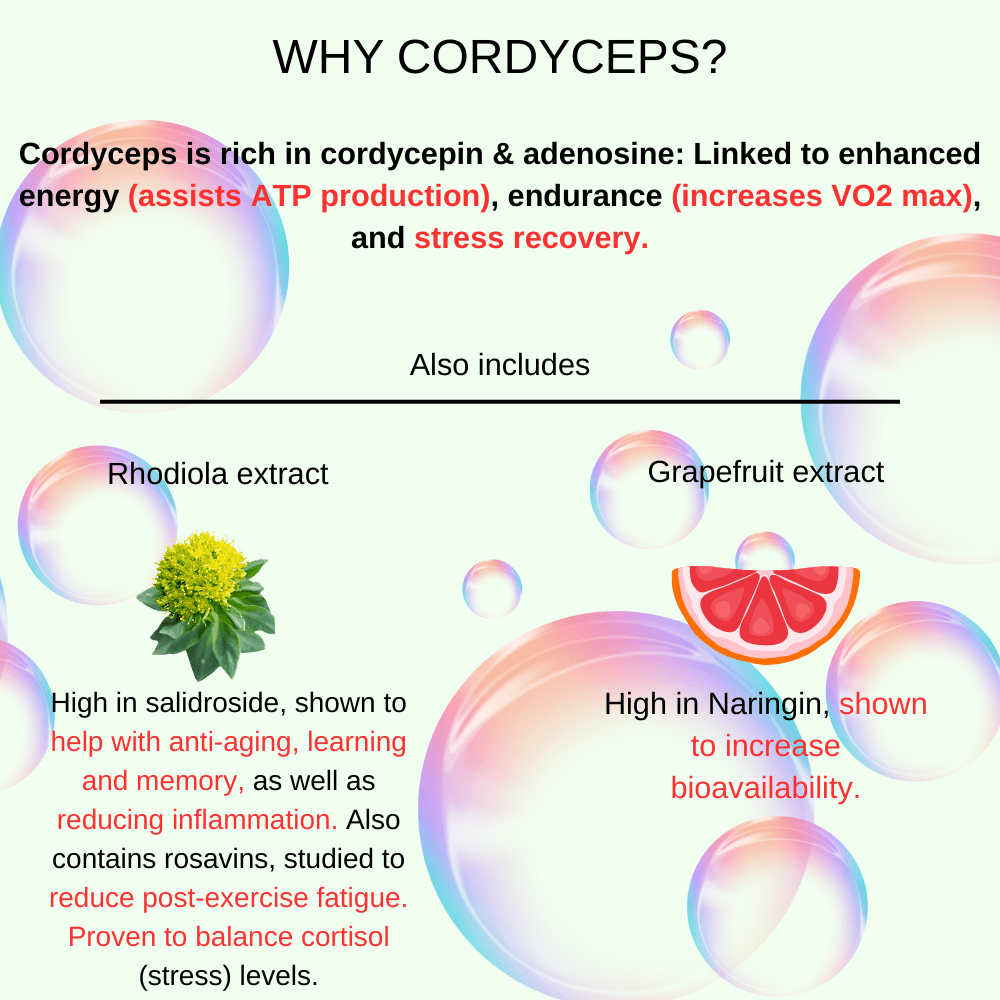 Stamina Surge - Mushify Cordyceps extract