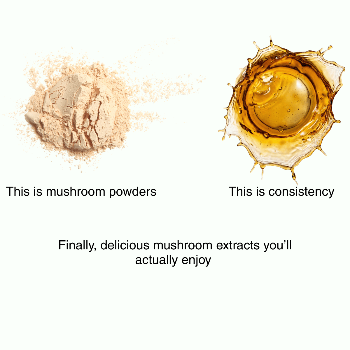 Mushroom Tinctures vs Mushroom Powders - Mushify
