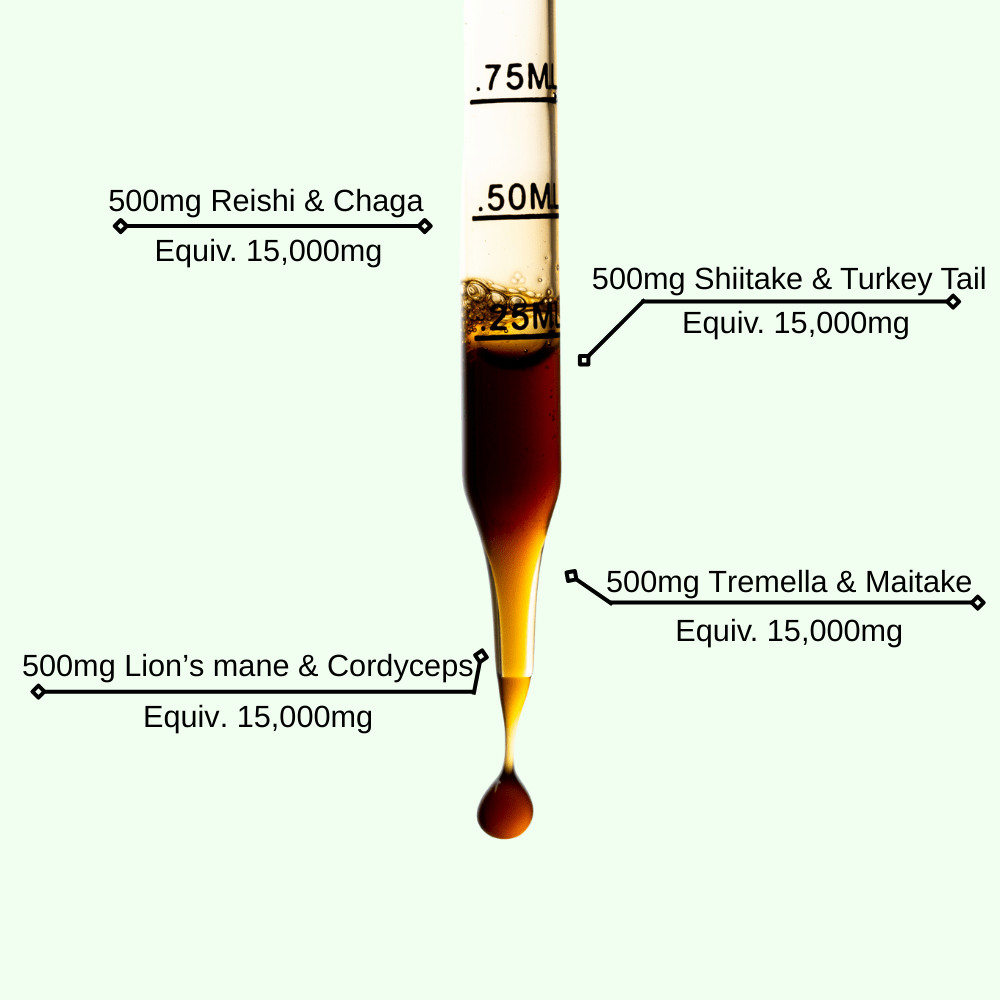 8 - Mushroom Matrix - Mushify