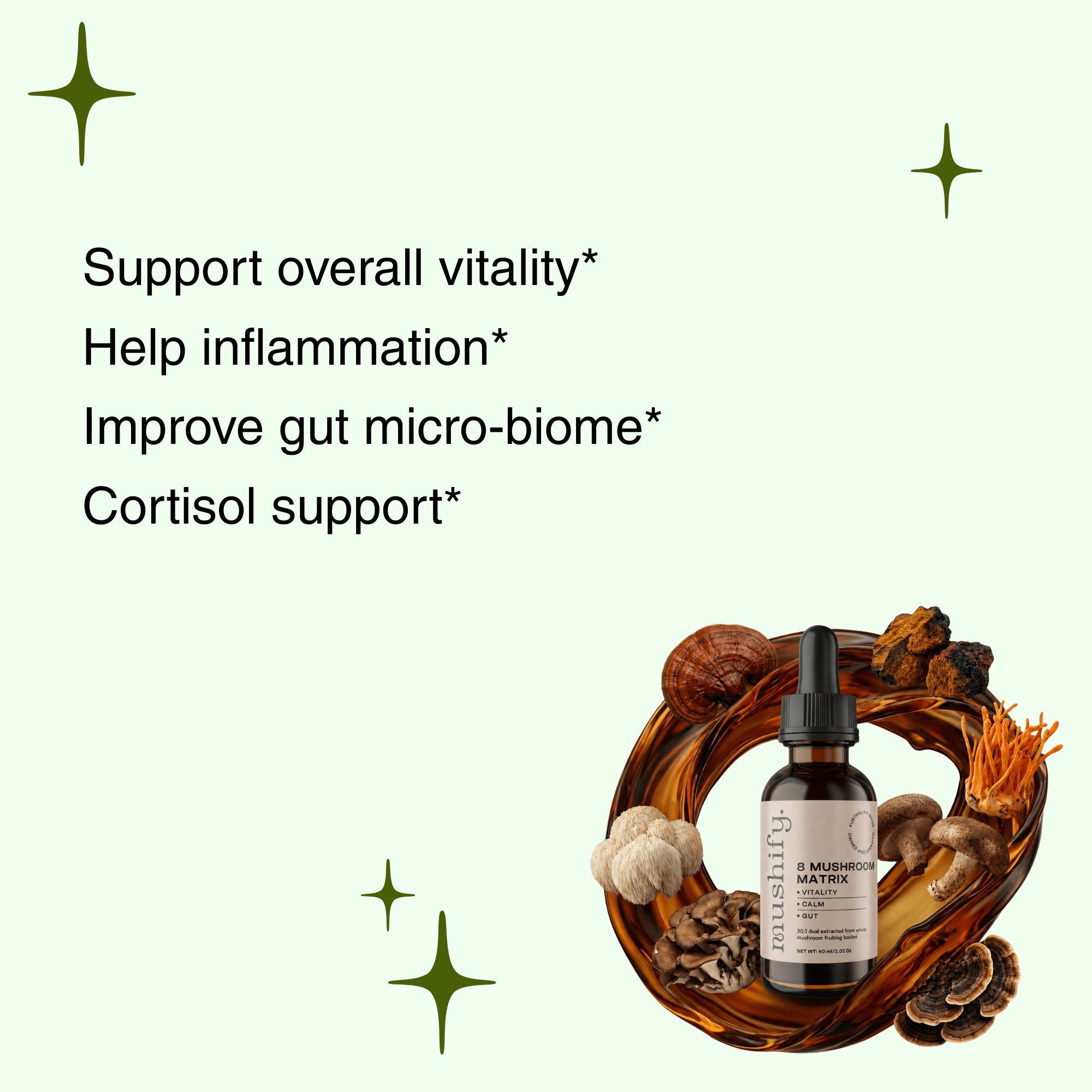8 - Mushroom Matrix - Vitality - Mushify
