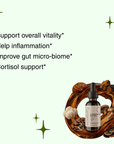 8 - Mushroom Matrix - Vitality - Mushify