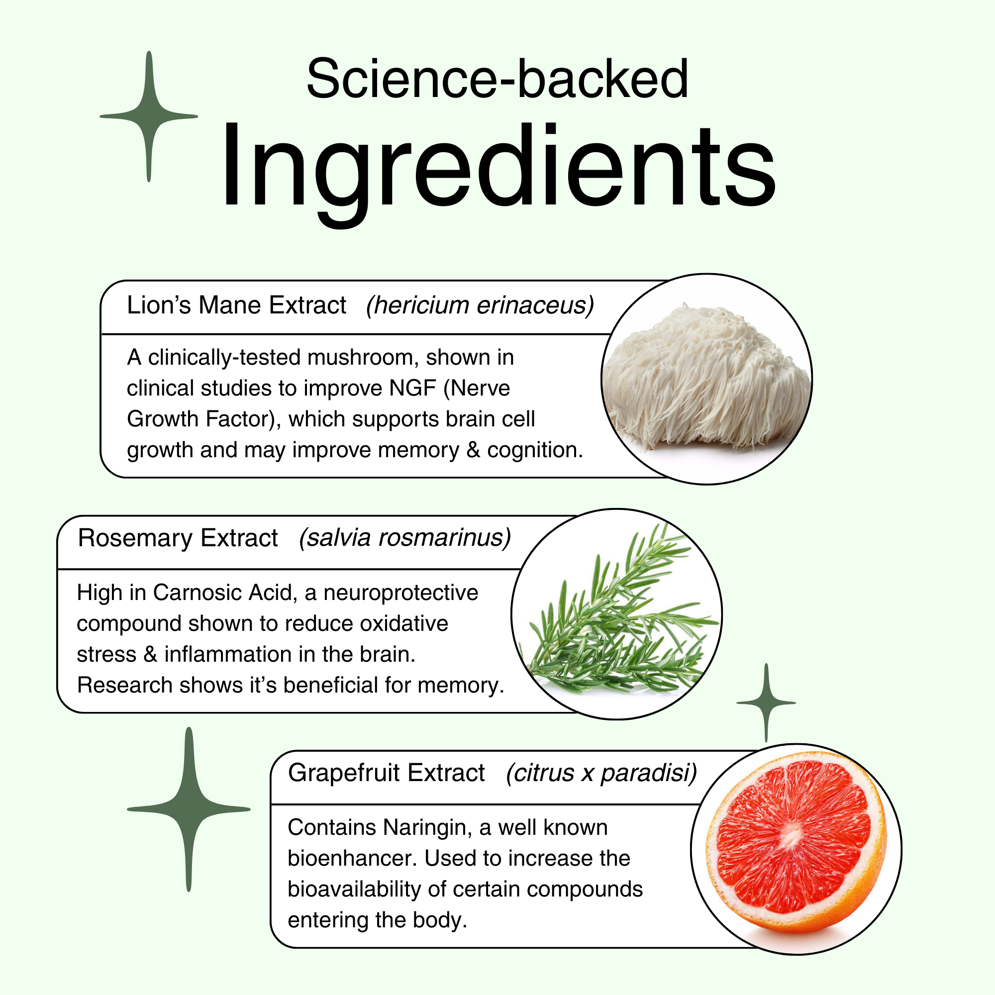 Brain Boost - Lion&#39;s mane &amp; Rosemary