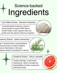 Brain Boost - Lion's mane & Rosemary