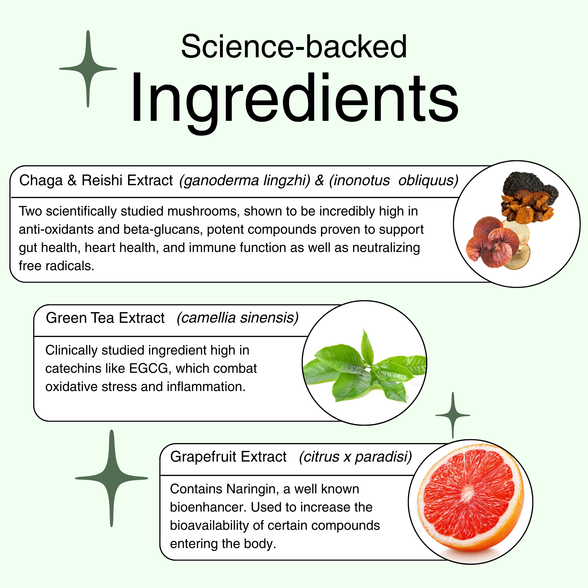 Immune Pump - Chaga, Reishi &amp; Green Tea
