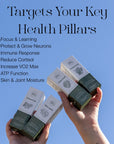 Daily Vitality Stack