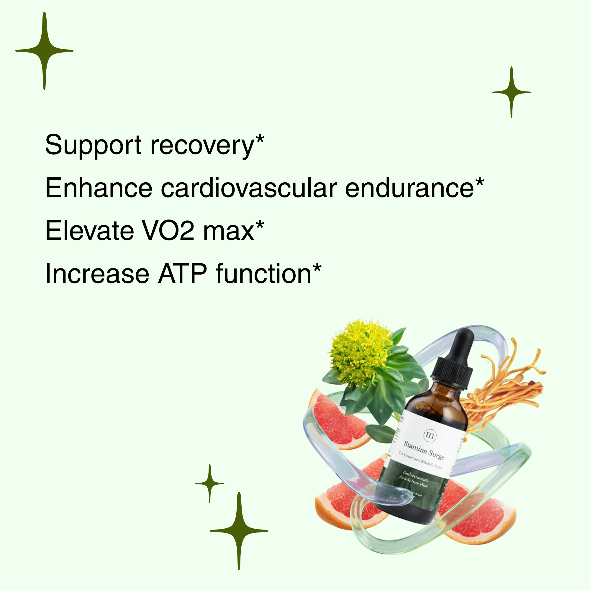 Stamina Surge - Cordyceps &amp; Rhodiola