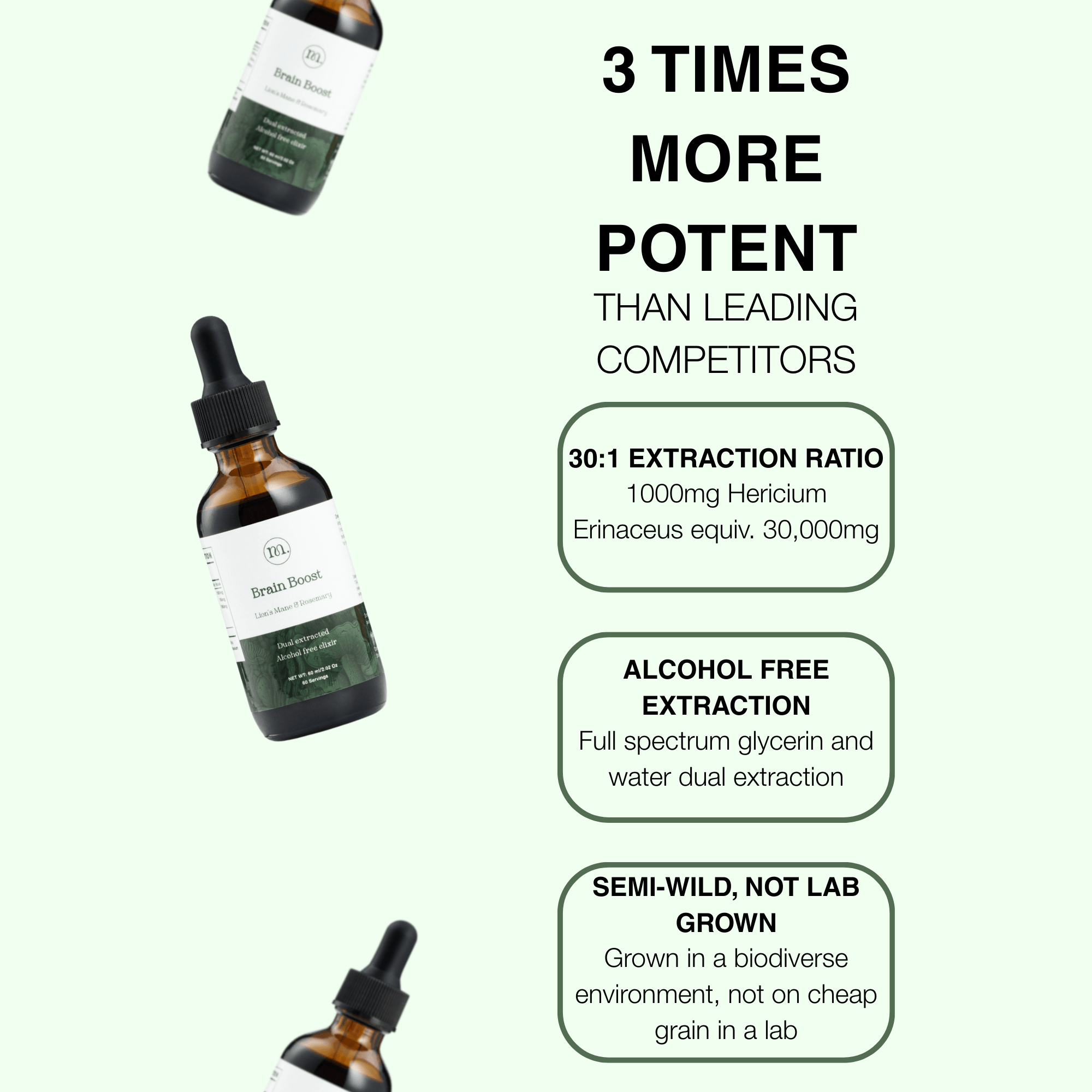 Brain Boost - Lion's mane &amp; Rosemary - Mushify Lion's mane extract