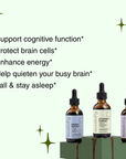 Brain, Energy & Sleep - Mushify