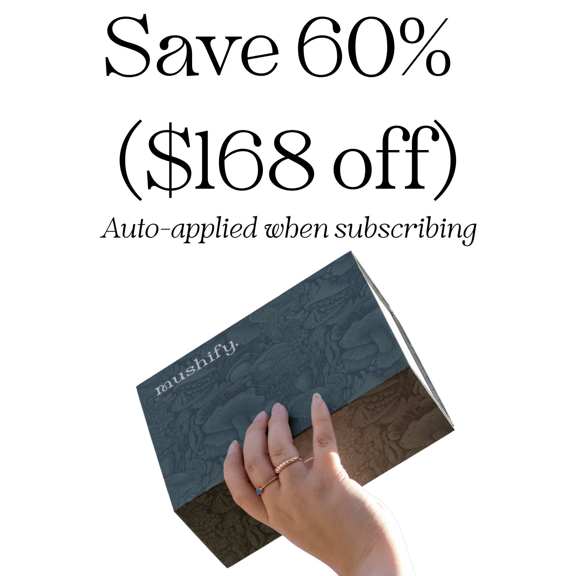 Daily Vitality Stack | The Tasty Mushroom + Herb Extracts - Mushify