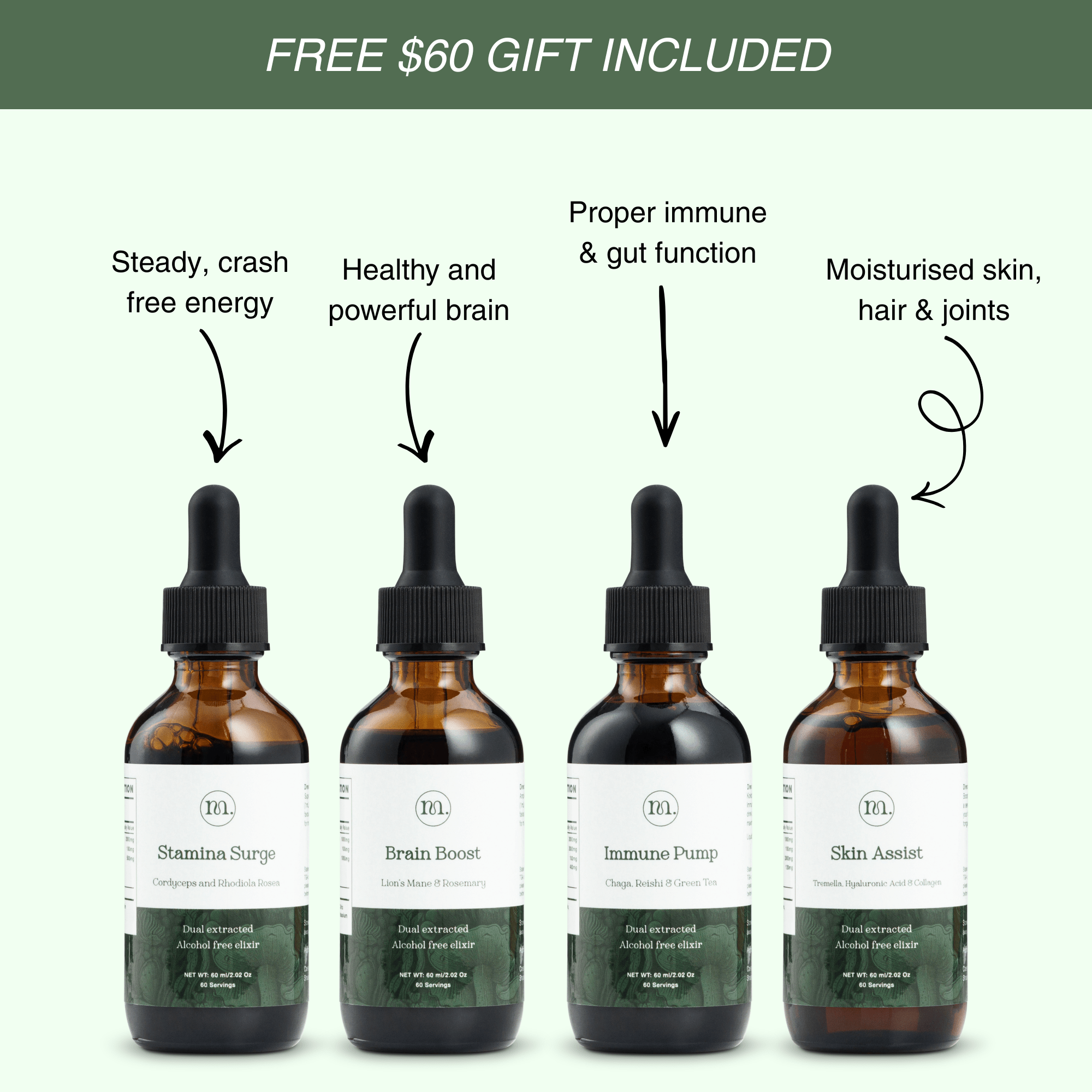 Daily Vitality Stack | The Tasty Mushroom + Herb Extracts - Mushify