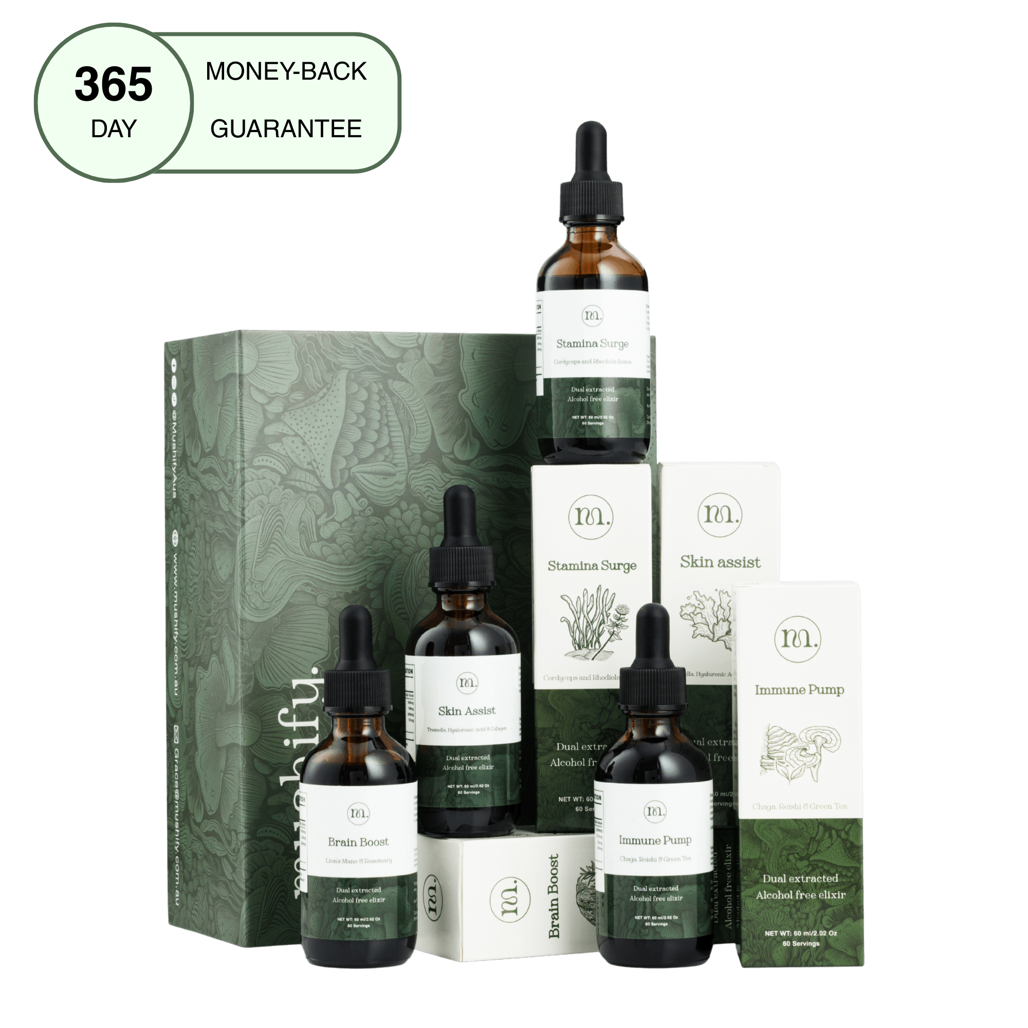 Daily Vitality Stack | The Tasty Mushroom + Herb Extracts - Mushify