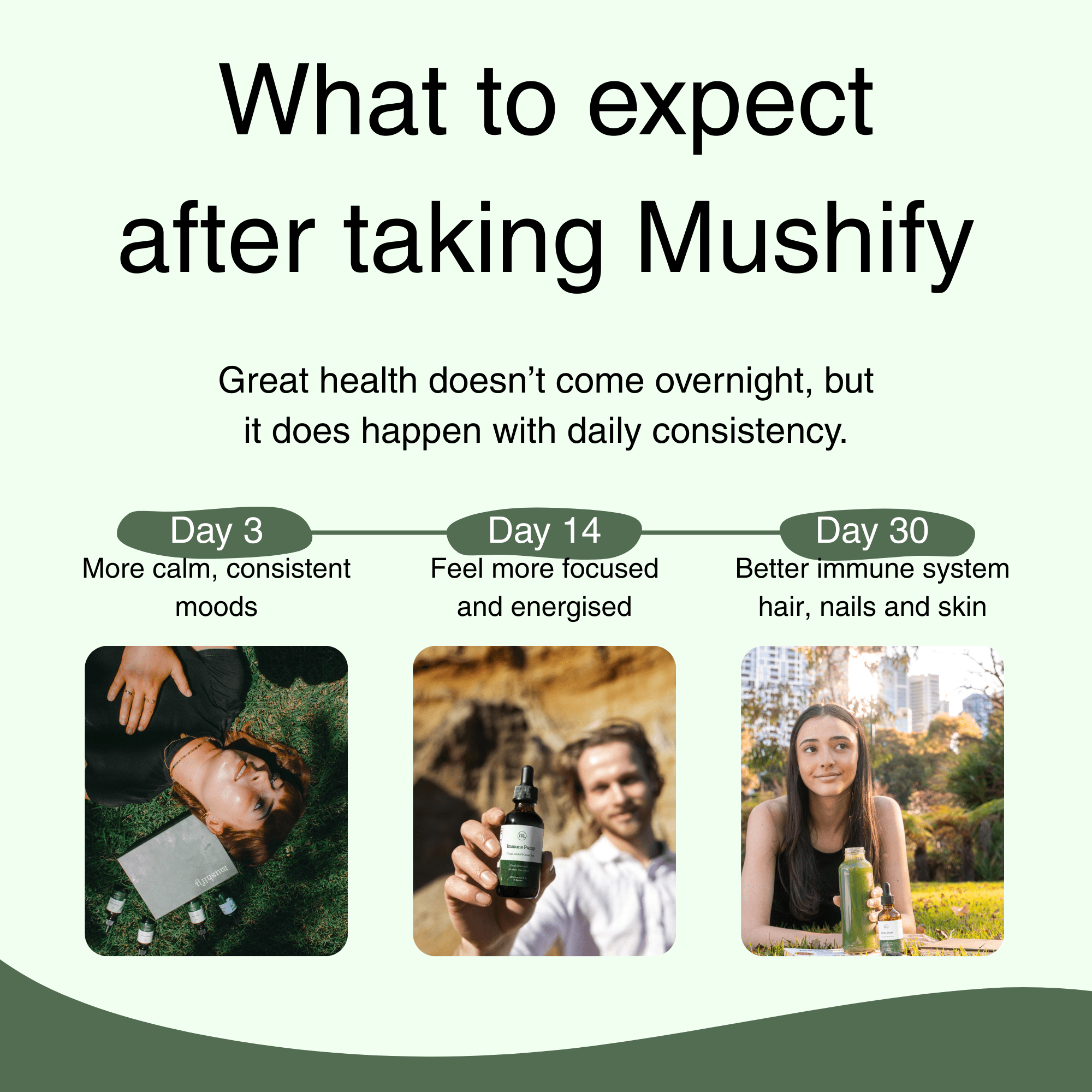 Daily Vitality Stack | The Tasty Mushroom + Herb Extracts - Mushify