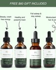 Daily Vitality Stack | The Tasty Mushroom + Herb Extracts - Mushify