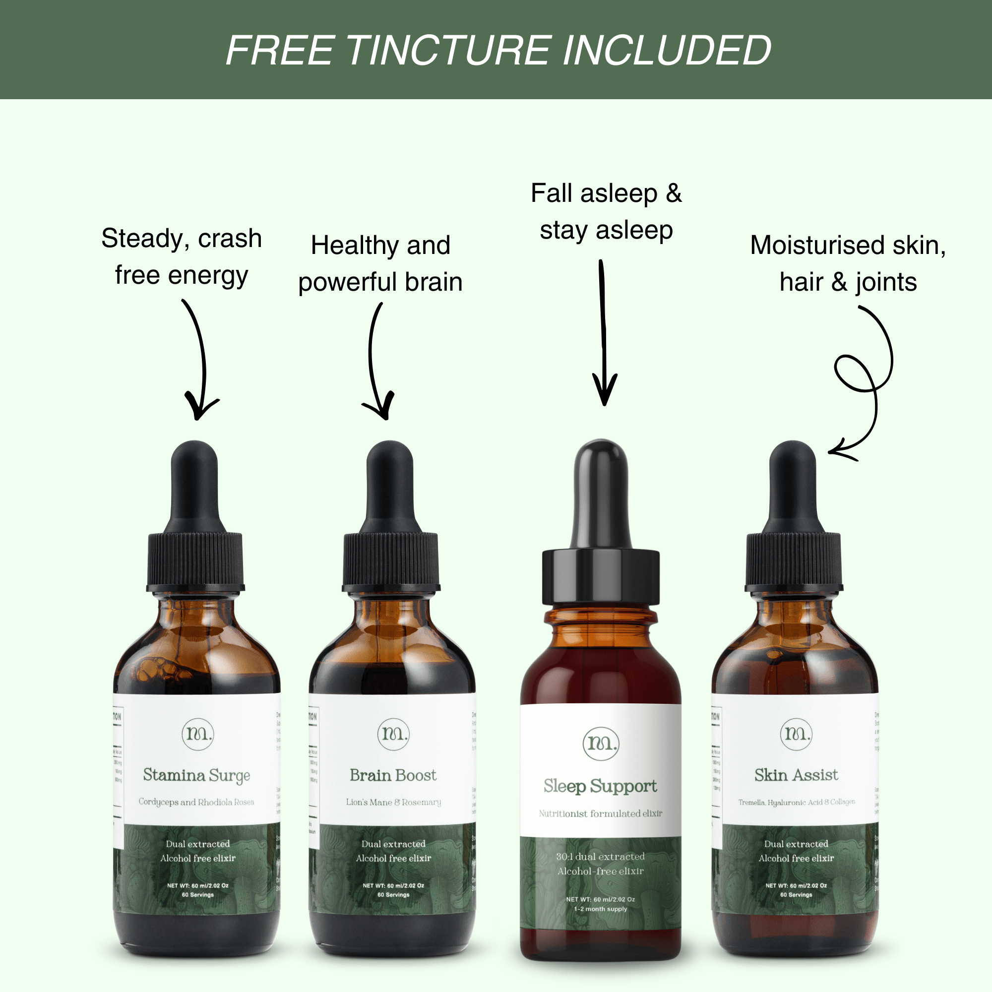 Daily Vitality Stack | The Tasty Mushroom + Herb Extracts - Mushify