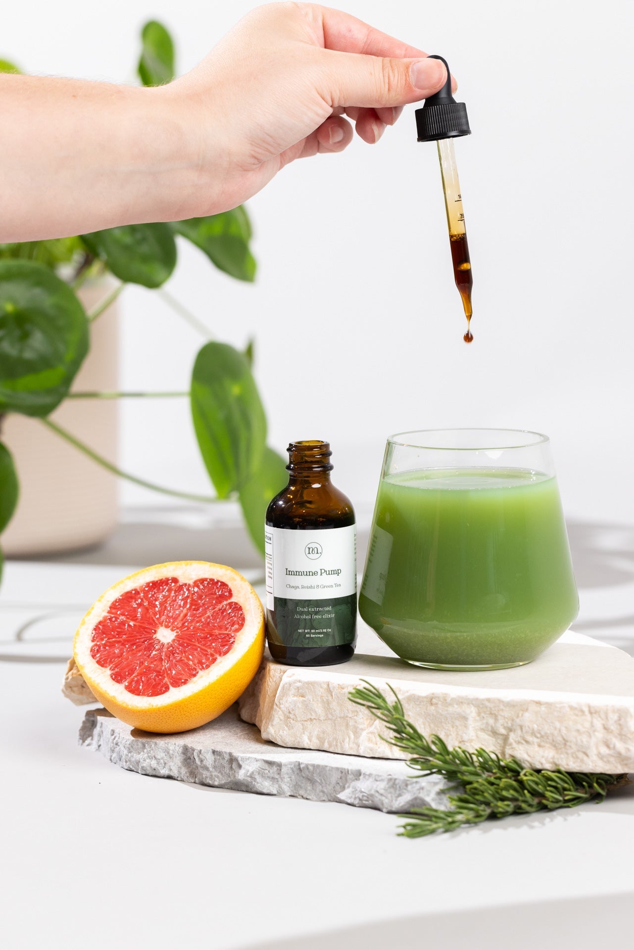 Immune Pump - Chaga, Reishi &amp; Green Tea - Mushify Reishi and Chaga extract