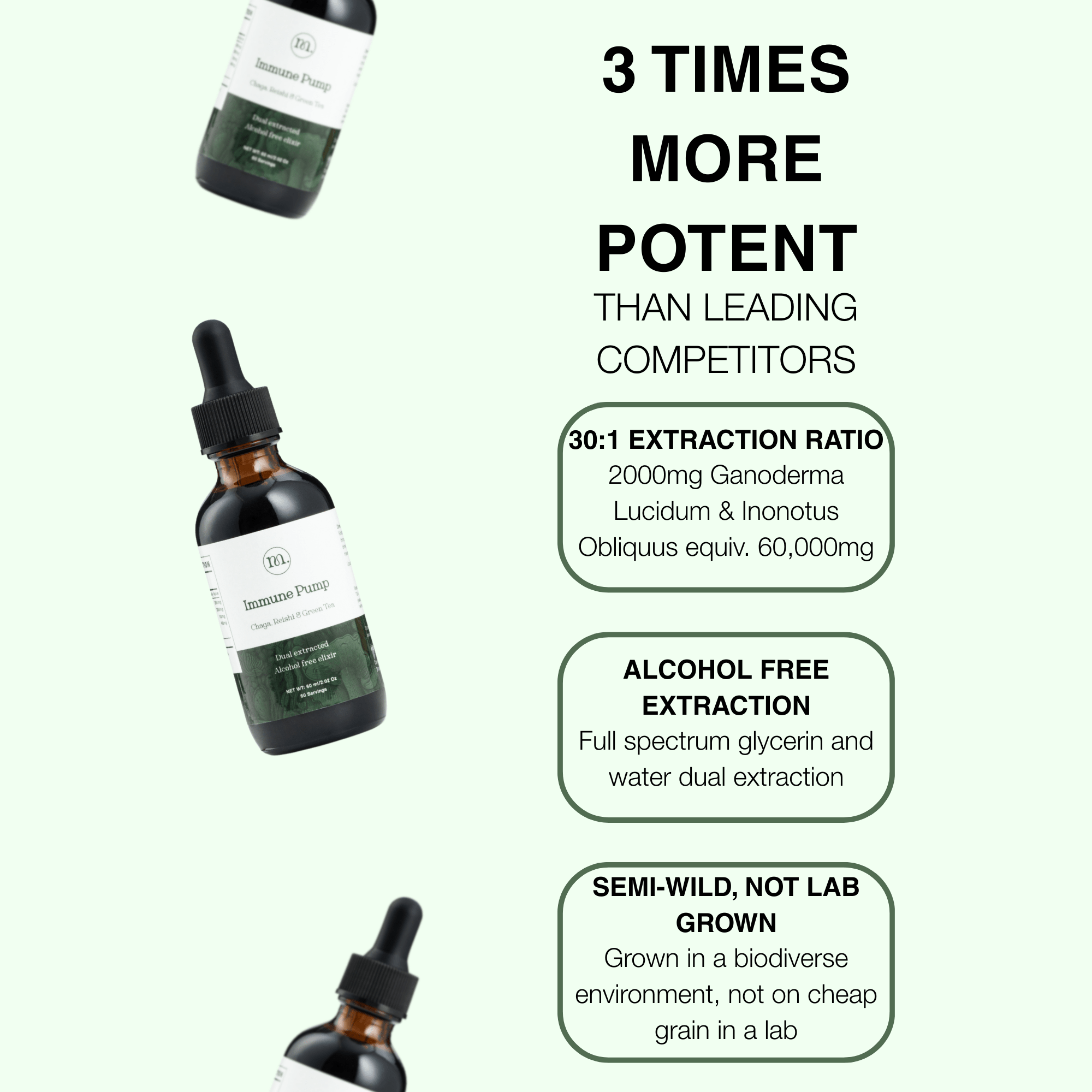 Immune Pump - Chaga, Reishi &amp; Green Tea - Mushify Reishi and Chaga extract