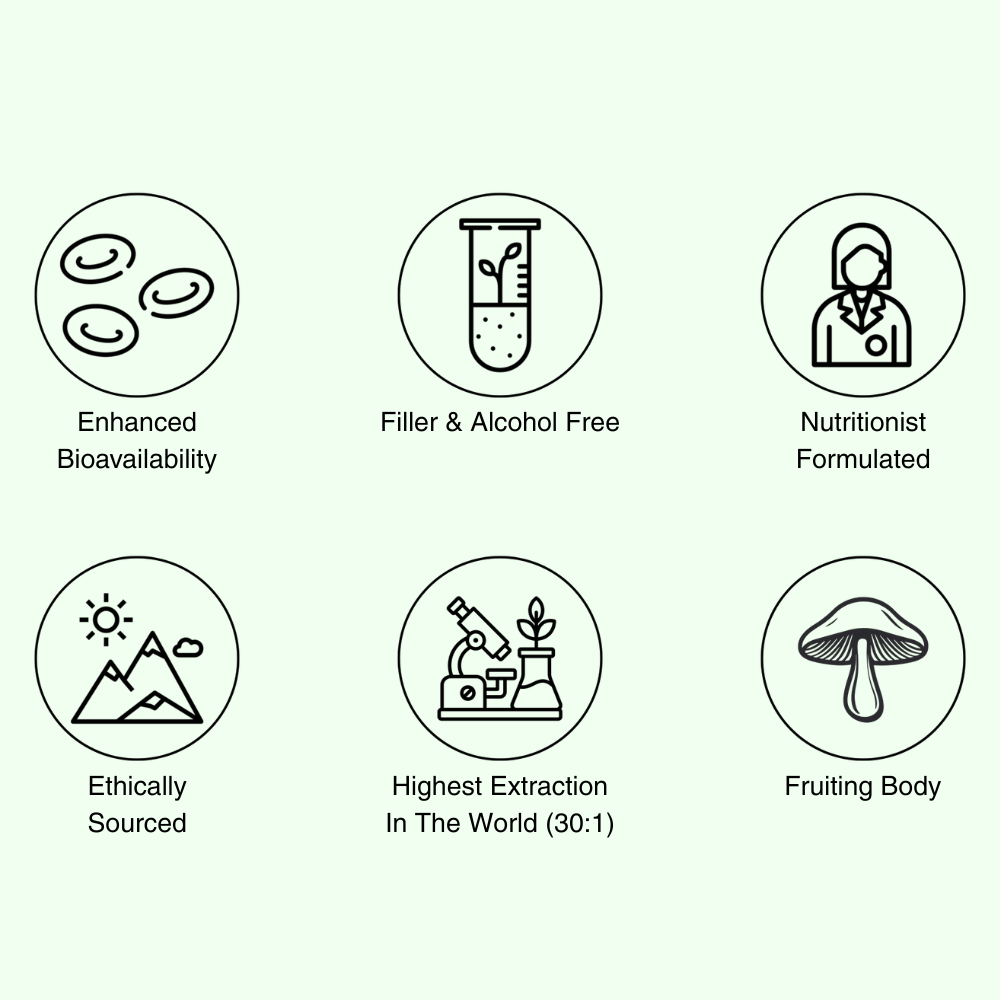 Sleep Support - All Natural Sleep Aid - Mushify