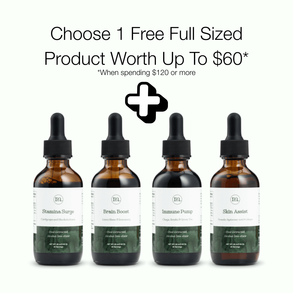 Musa L Serum ストライプデザイン Musa L コレクション Serum ストライプデザイン