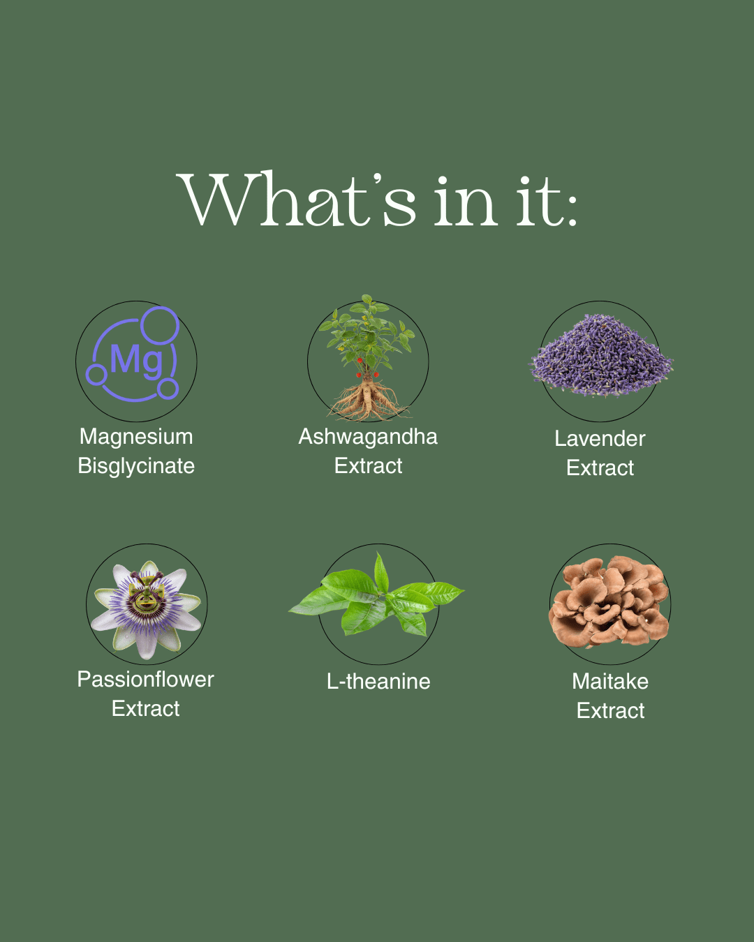 Sleep Support - Mushify