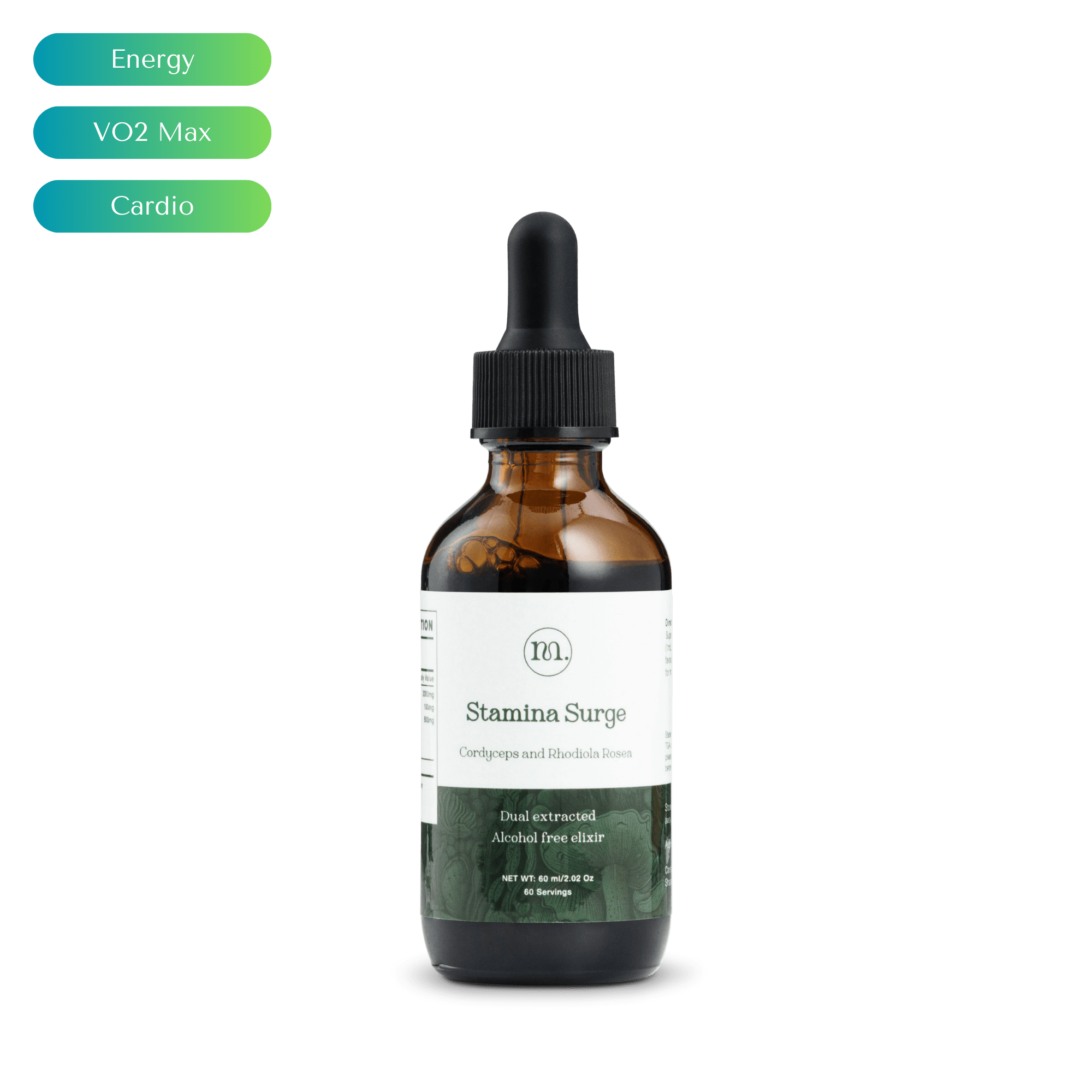 Stamina Surge - Cordyceps &amp; Rhodiola - Mushify Cordyceps extract