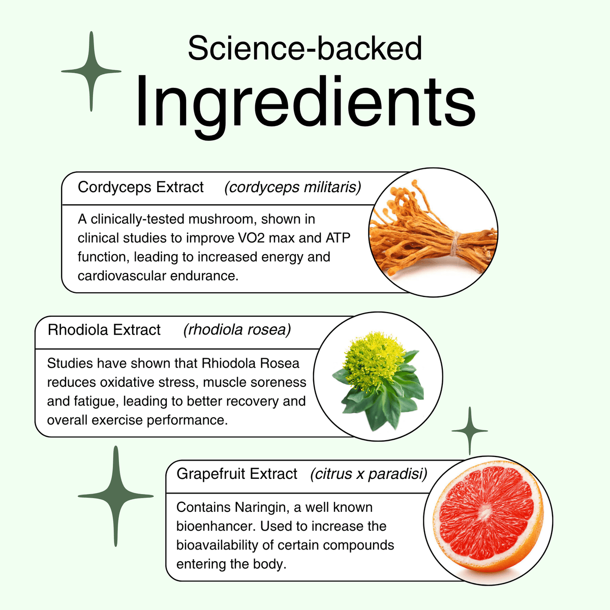 Stamina Surge - Cordyceps & Rhodiola - Mushify Cordyceps extract