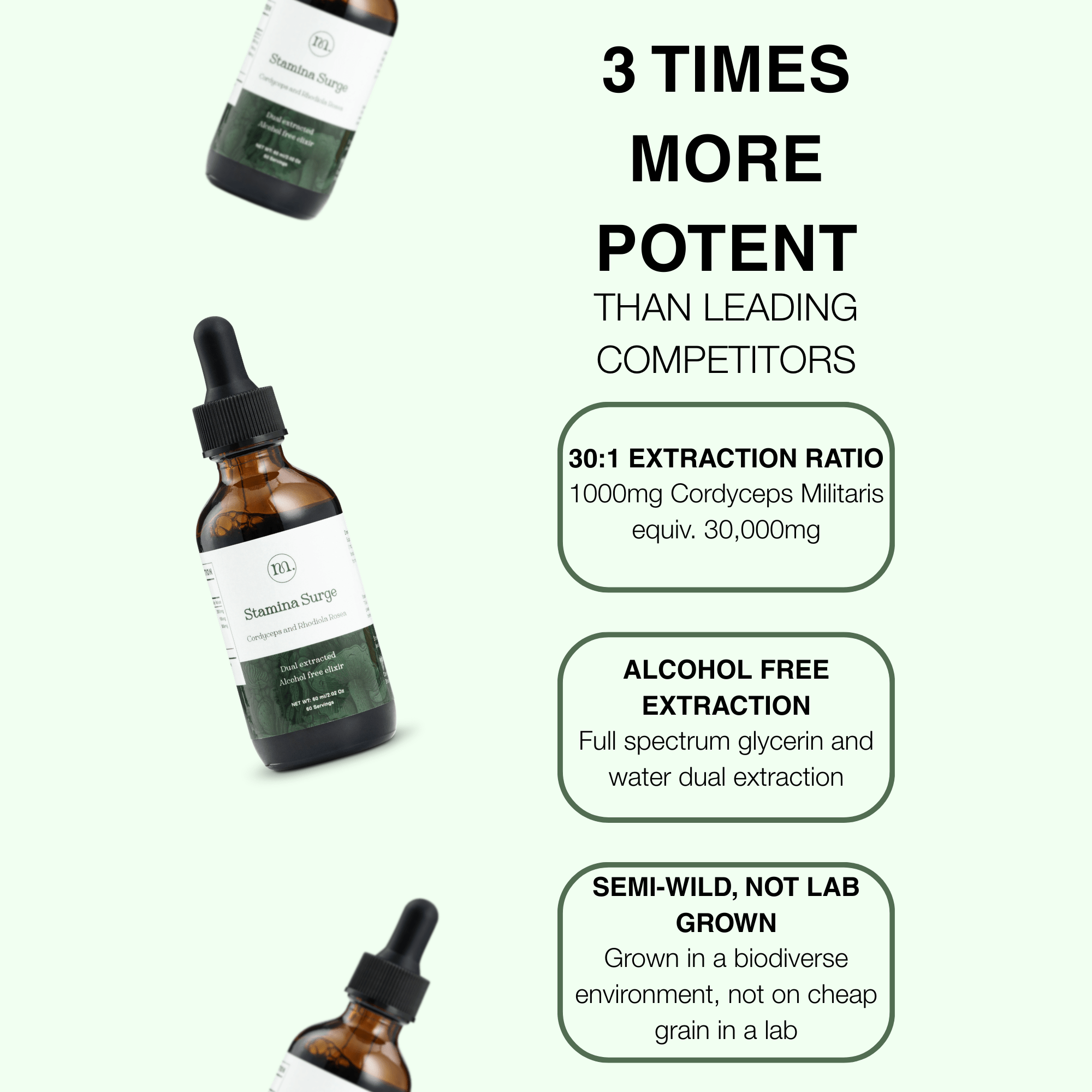 Stamina Surge - Cordyceps &amp; Rhodiola - Mushify Cordyceps extract